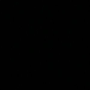 Meet your Posher, Evan